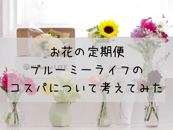 お花の定期便 サブスク が安いって本当 ブルーミーのコスパについて考えてみた