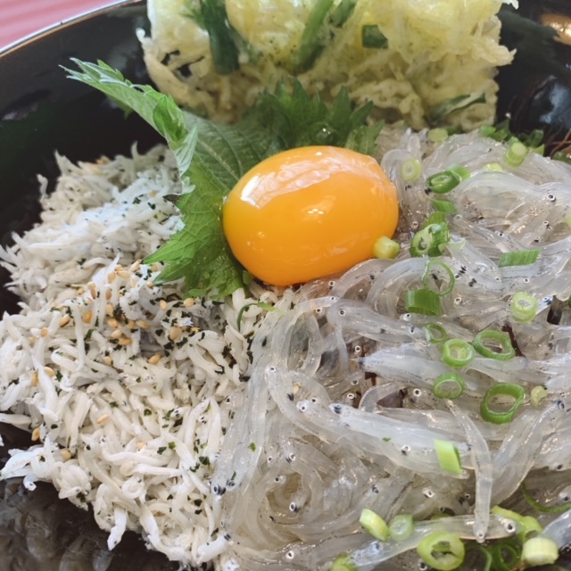 篠島ランチにおすすめ♪ちりめん亭の美味しい「しらす3色丼」実食レポ