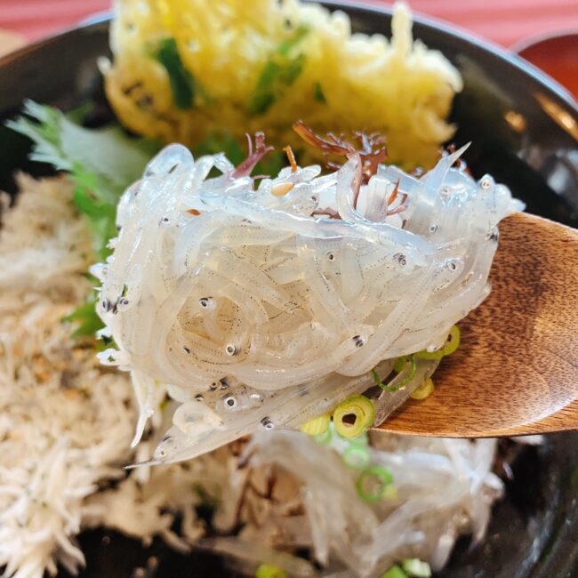 篠島ランチにおすすめ♪ちりめん亭の美味しい「しらす3色丼」実食レポ